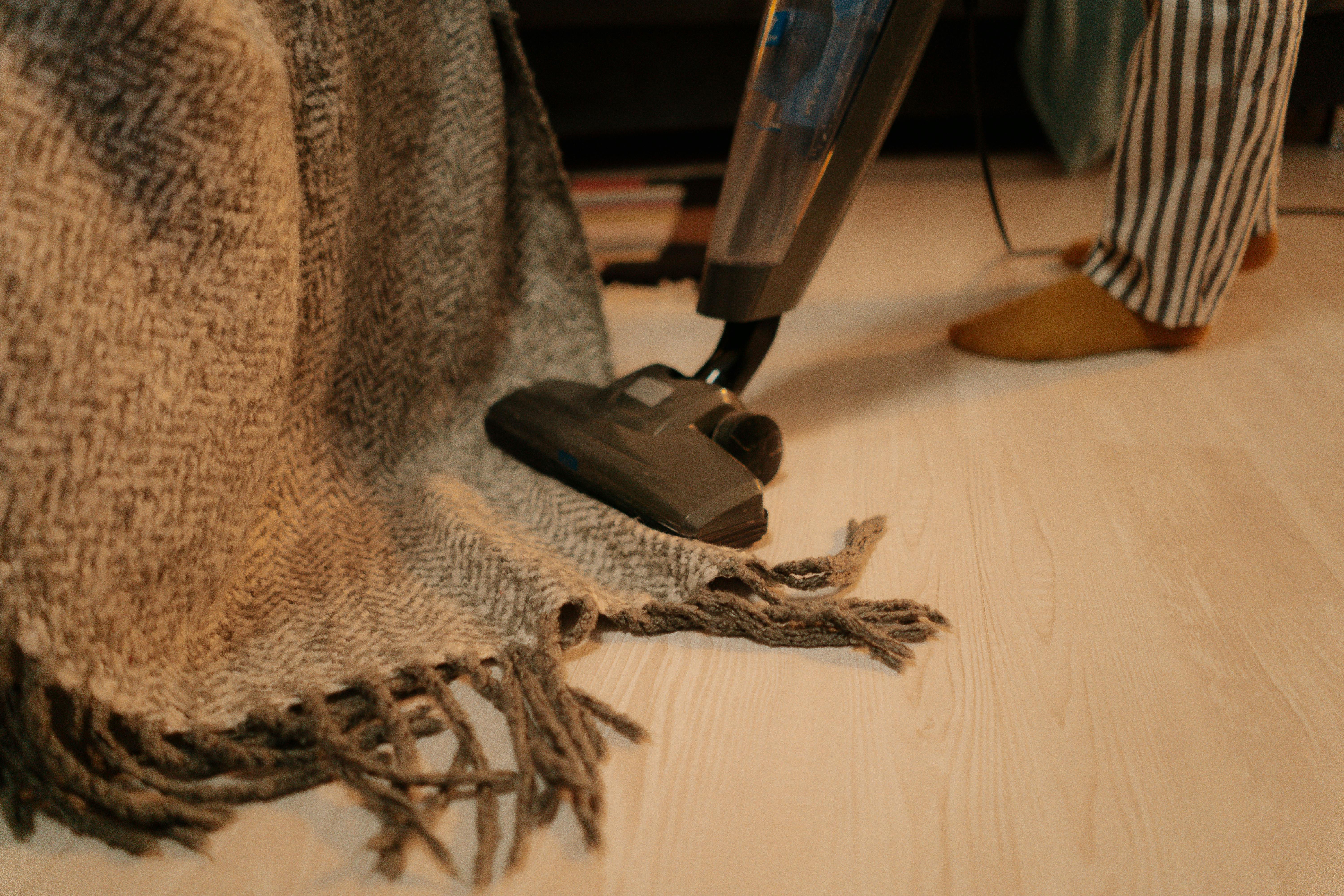Professional cleaning team at work